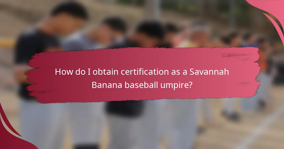 How do I obtain certification as a Savannah Banana baseball umpire?
