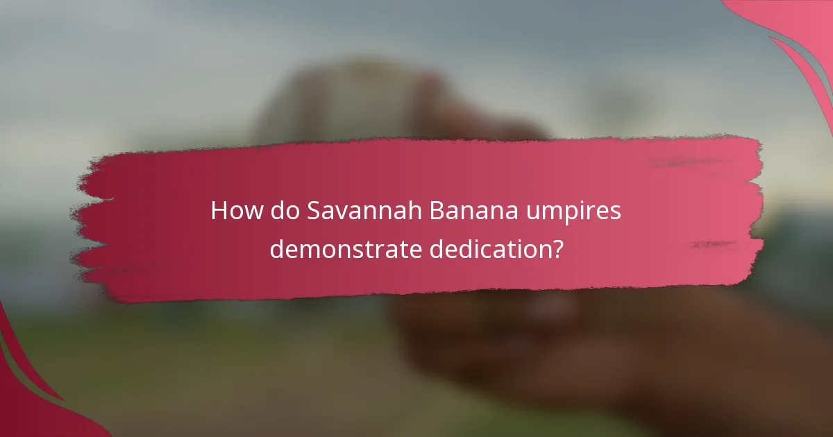 How do Savannah Banana umpires demonstrate dedication?