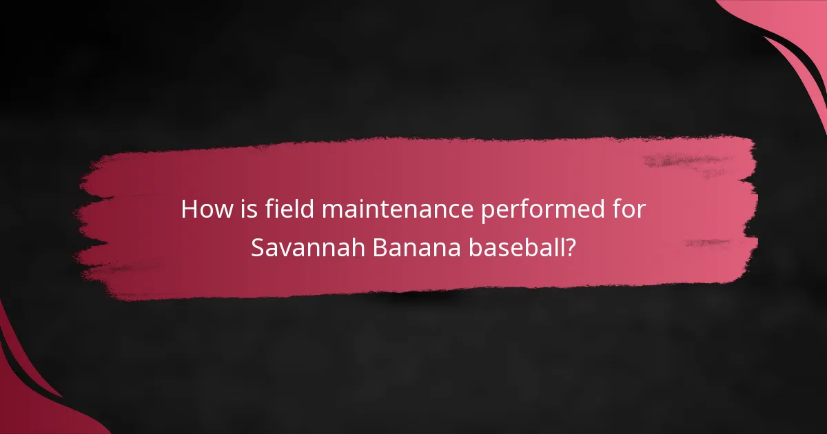 How is field maintenance performed for Savannah Banana baseball?