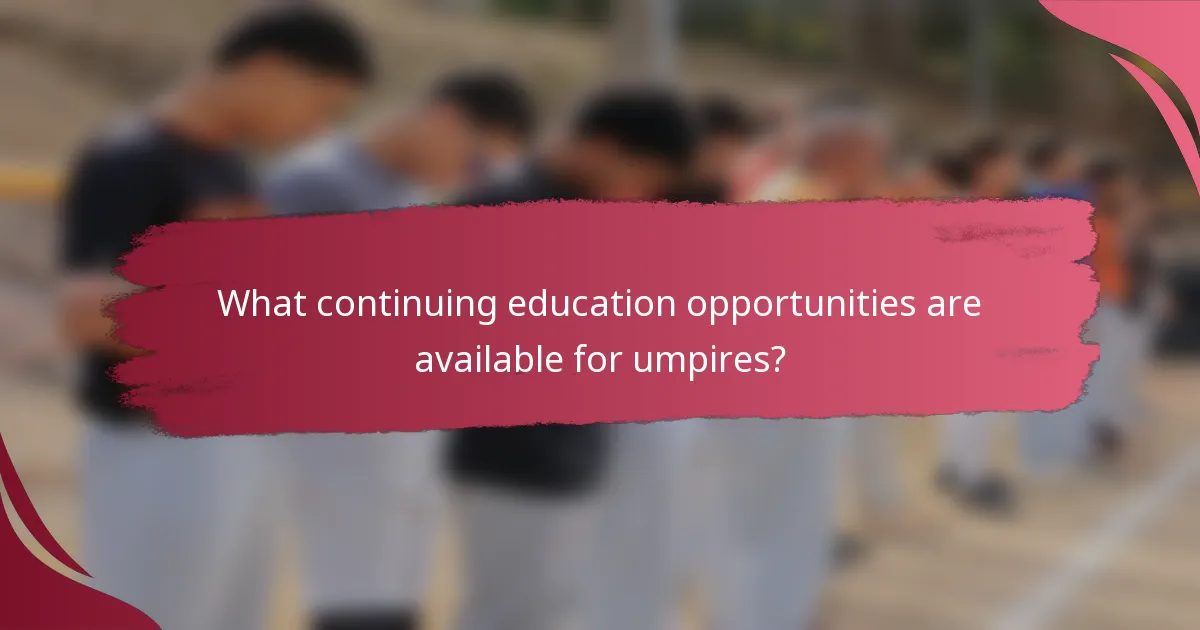 What continuing education opportunities are available for umpires?